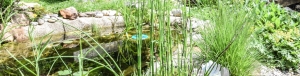 Biodiversität im Garten - LWG-Symbolbild