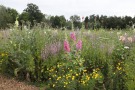 Biodiversität - Demoflächen in Grub (Foto: LfL/Gleixner)