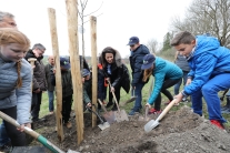 Ministerin und Grundschulklasse (Foto: Schönleber)