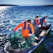 Ausbildungsberuf Fischwirt/Fischwirtin