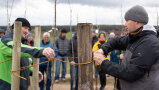 Ein Mann hält einen frisch gepflanzten Baum fest, ein anderer Bindet ihn an einem Holzpfahl fest. Im Hintergrund stehen viele Menschen und schauen den beiden zu.