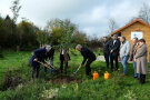 Drei Personen pflanzen einen Baum, eine vierte Person hält ihn fest. Weitere Menschen stehen dabei und sehen beim Pflanzen zu.