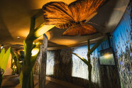 Ein großer Schmetterling reicht bis an die Decke des Raumes, in der eine Ausstellung gezeigt wird. 
