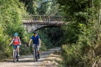 Zwei Radfahrer fahren auf einem Waldweg, hinter ihnen sieht man eine Bahnbrücke, die Sonne scheint.