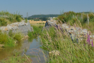 Bodenwelle und mit Gabionen verstärkter Durchlass gewährleistet den Wasserrückhalt und die landwirtschaftliche Nutzung.