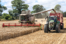 Mähdrescher und Traktor bei der Getreideernte.