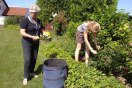 Auftraggeberin und eine Jugendliche der Taschengeldbörse bei Gartenarbeiten