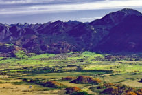 Mooslandschaft mit den Alpen im Hintergrund