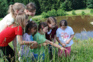 Kinder in einer Naturlandschaft am Rand eines Teichs schauen neugierig ins grüne Gras