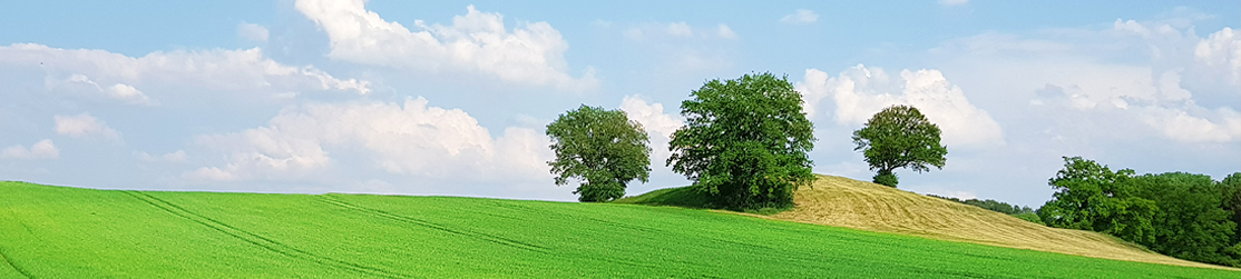 Le Header Mai Betz 2018