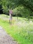 Wildbienenhotel in Streuobstwiese