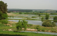 Landschaft mit Bäumen, Wiesen und Fischteichen