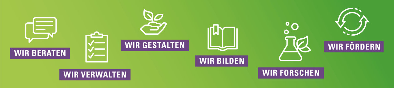 Skizzierte Grafiken mit Schrift: Wir beraten, wir verwalten ...